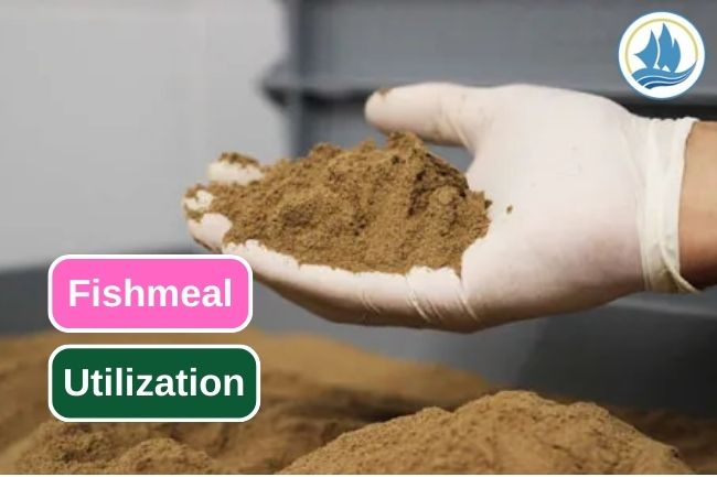 8 Potential Benefits of Fishmeal 